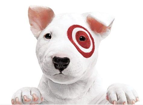 Behind the Scenes with the Target Dog Witch